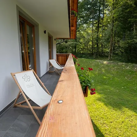 Bohinj Apartments Goldhorn Kingdom Room photo