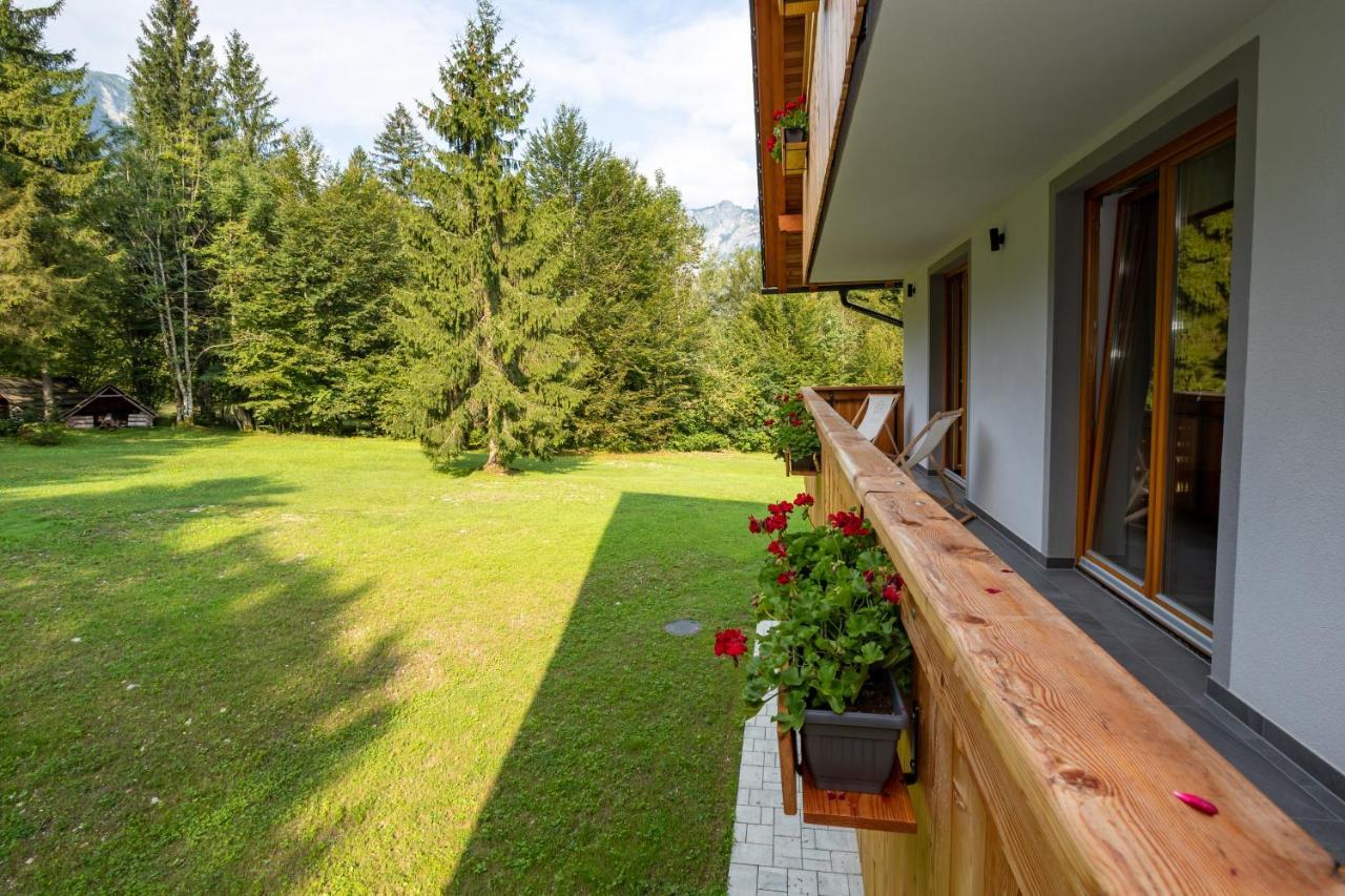 Goldhorn Kingdom Bohinj